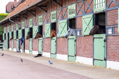 Les écuries du Haras de Jardy dans les Hauts-de-Seine