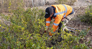 Jardinier cultivant un jardin, un emploi de transition organisé par Activity's