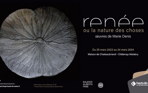 Renee ou la nature des choses une nouvelle exposition a la Maison de Chateaubriand a Chatenay-Malabry