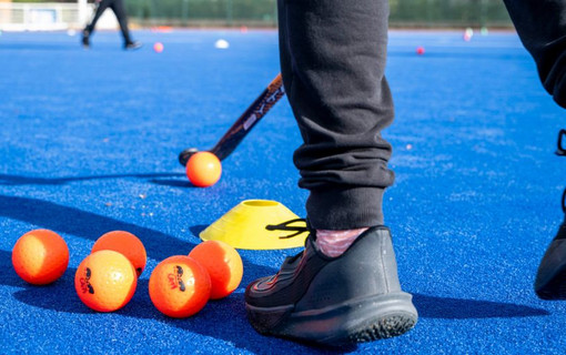 Le Trophée hockey sur gazon est un dispositif de sport scolaire du département des Hauts-de-Seine