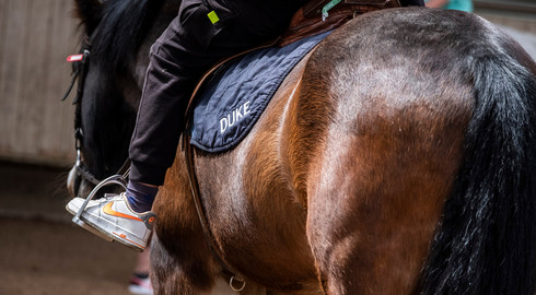 L'équitation est l'une des nombresues discipline sproposées pendant Vacan'sports