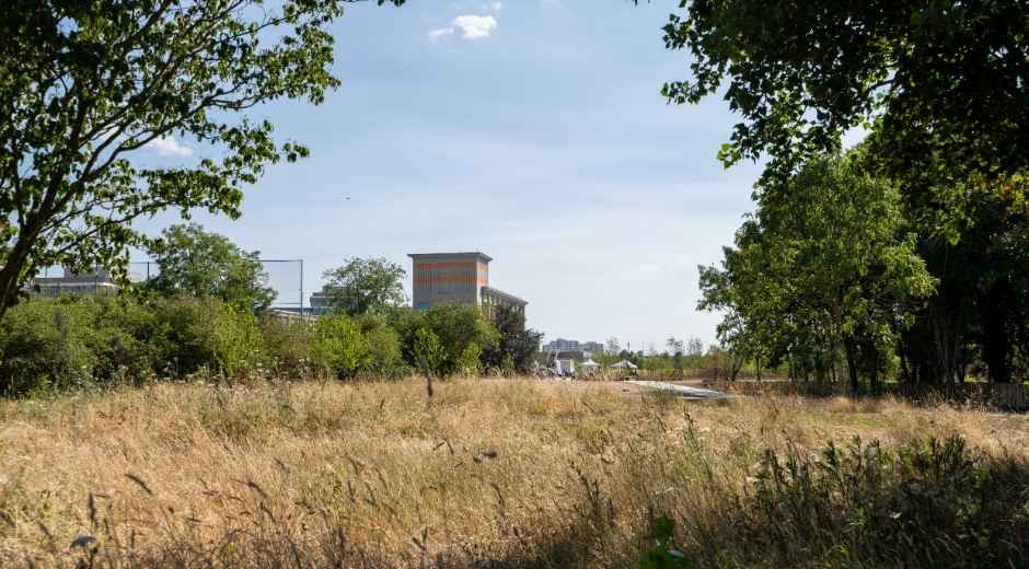 Une large pelouse constitue notamment le Jardin des papeteries à Nanterre